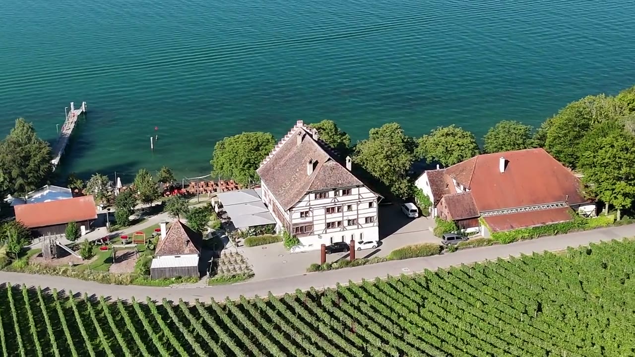 Warum der beste Sommerwein vom Bodensee kommt — Engel & Flamme